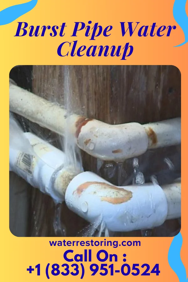 Burst Pipe Water Cleanup in Shawnee Hills, OH