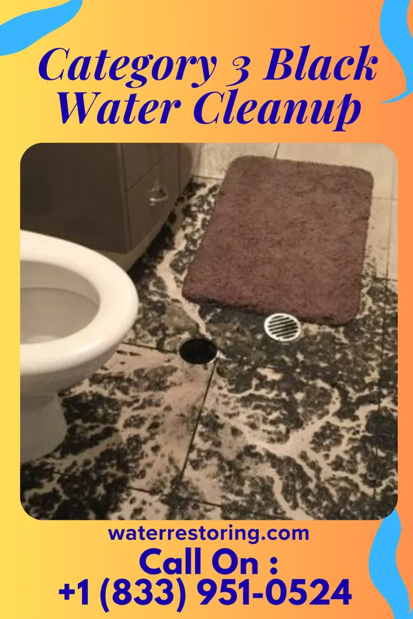 Category 3 Black Water Cleanup in Shawnee Hills, OH