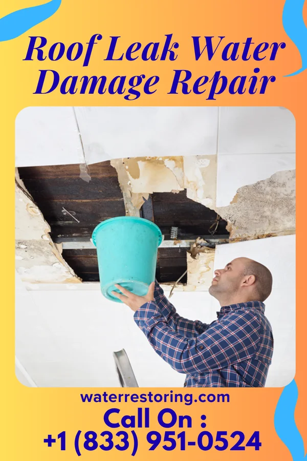 Roof Leak Water Damage Repair in Shawnee Hills, OH