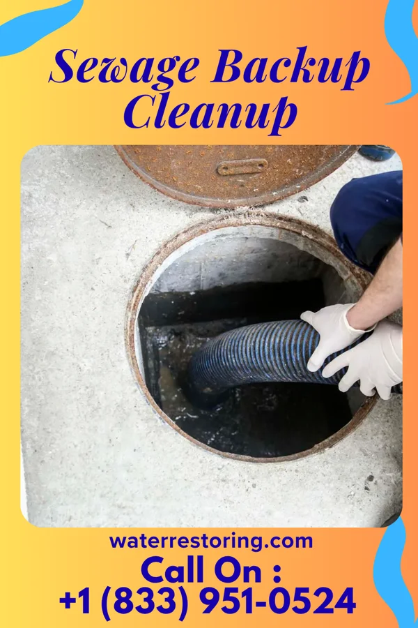 Sewage Backup Cleanup in Shawnee Hills, OH