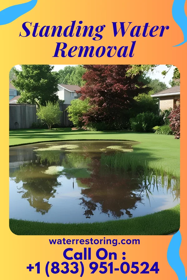 Standing Water Removal in Shawnee Hills, OH